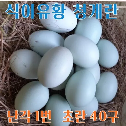 기간한정특가 청계란 가격비교