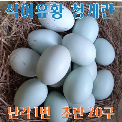 기간한정특가 청계알가격 할인행사